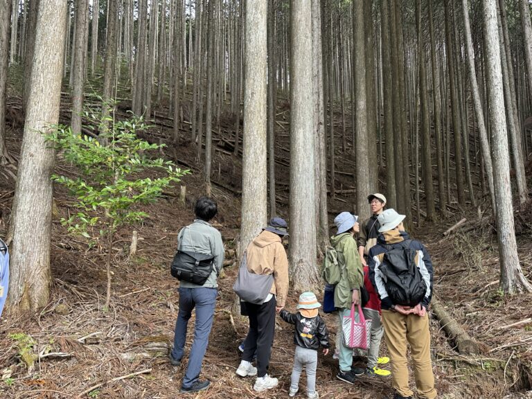 森や木に関する「学び」